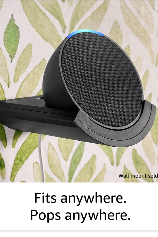Alexa smart voice speaker