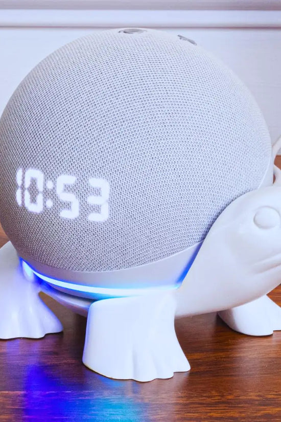 Turtle Echo Dot Holder