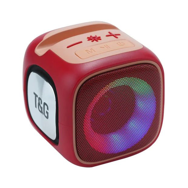 Portable TWS Stereo Sound