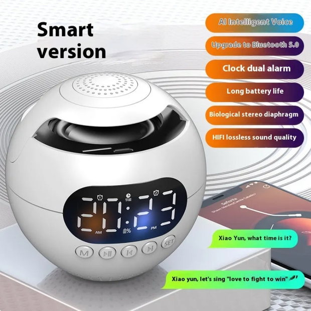 wireless speaker